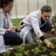 étudiants en agronomie